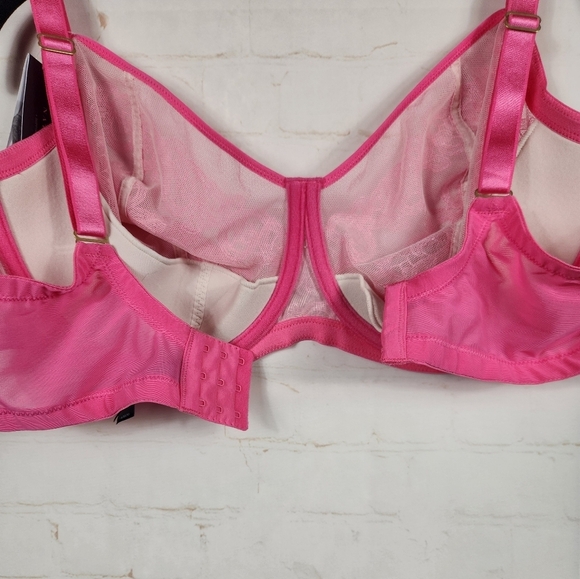 Natori True Decadence Bra Swiss Embroidery Sheer Lace Full Figure Pink 42DDD - Picture 11 of 14